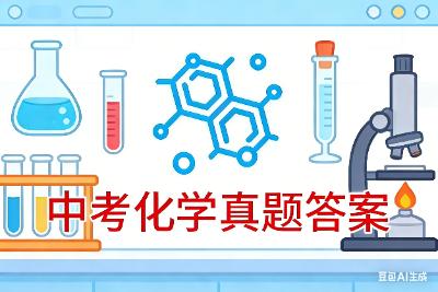 2016-2025年中考化学真题答案